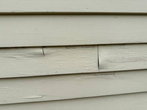 Best Custom Siding Design  in Maple Lake, MN